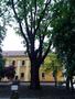 Photo uploaded by <i>Csukas</i> on 05/10/2019
