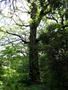 Photo uploaded by <i>viorelarghius</i> on 05/13/2019