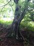 Photo uploaded by <i>viorelarghius</i> on 06/02/2019