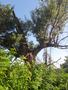 Photo uploaded by <i>viorelarghius</i> on 06/16/2019