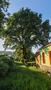 Photo uploaded by <i>Eva</i> on 07/14/2026