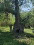 Photo uploaded by <i>Ciortan.Bogdan</i> on 05/28/2025