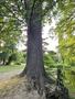Photo uploaded by <i>septimosaur</i> on 06/27/2025