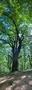 Photo uploaded by <i>Gionea Ana</i> on 09/07/2025