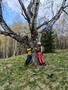 Photo uploaded by <i>viorelarghius</i> on 05/08/2026