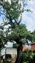 Imagine încărcată de <i>Georgescu</i> în data de 10.07.2026