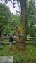 Photo uploaded by <i>moldovandan67</i> on 07/24/2026