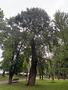 Photo uploaded by <i>moldovandan67</i> on 07/24/2026