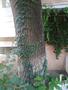 Photo uploaded by <i>dragos.bora</i> on 07/25/2026