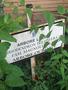 Photo uploaded by <i>dragos.bora</i> on 07/25/2026