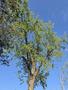 Photo uploaded by <i>Cionescu1971</i> on 08/01/2026