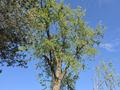 Photo uploaded by <i>Cionescu1971</i> on 08/01/2026