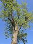 Photo uploaded by <i>Cionescu1971</i> on 08/01/2026