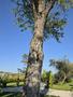 Photo uploaded by <i>Cionescu1971</i> on 08/01/2026