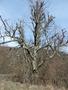 Photo uploaded by <i>Arpi</i> on 05/02/2017
